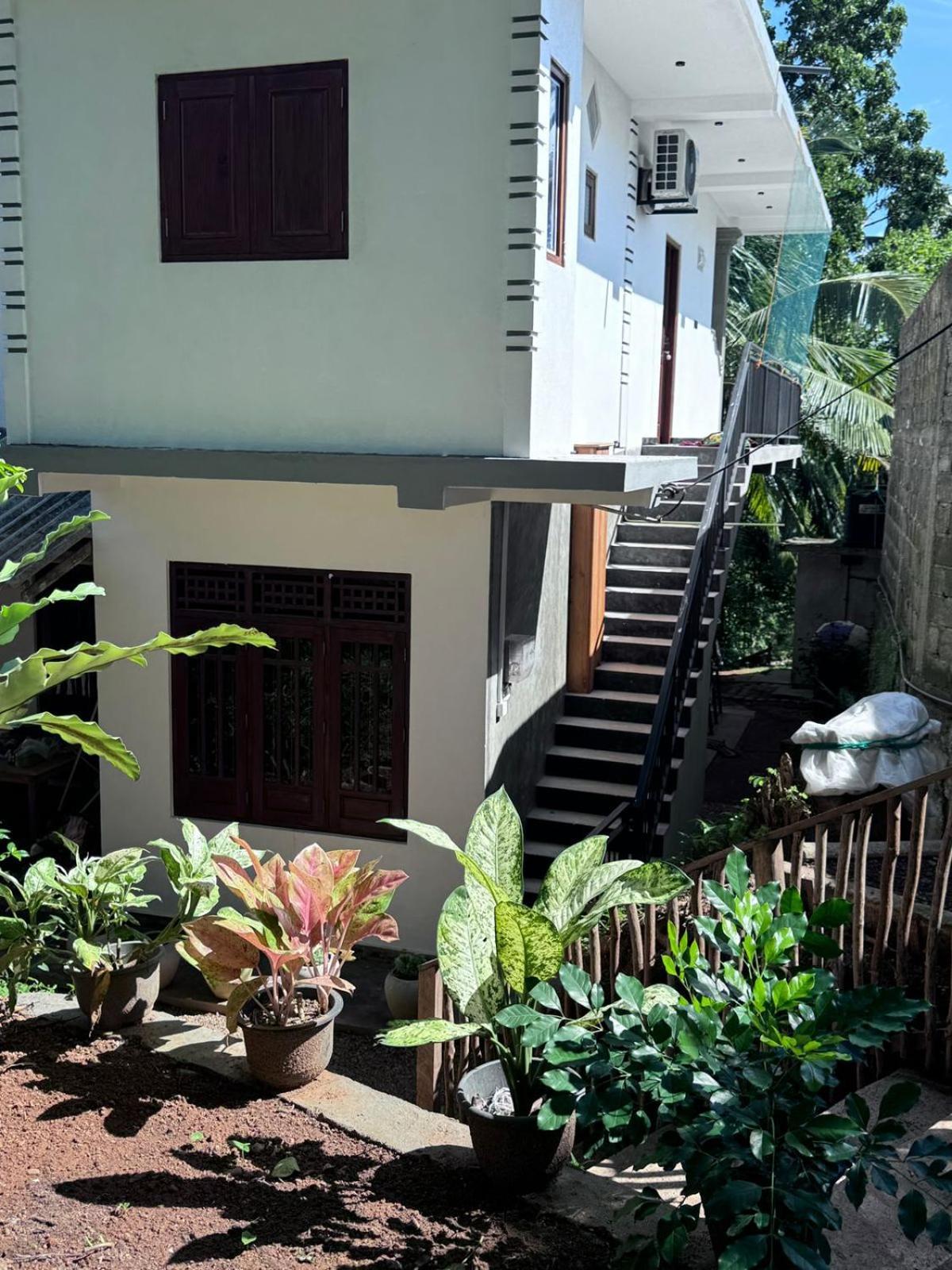 Green Nature Mirissa Exterior photo