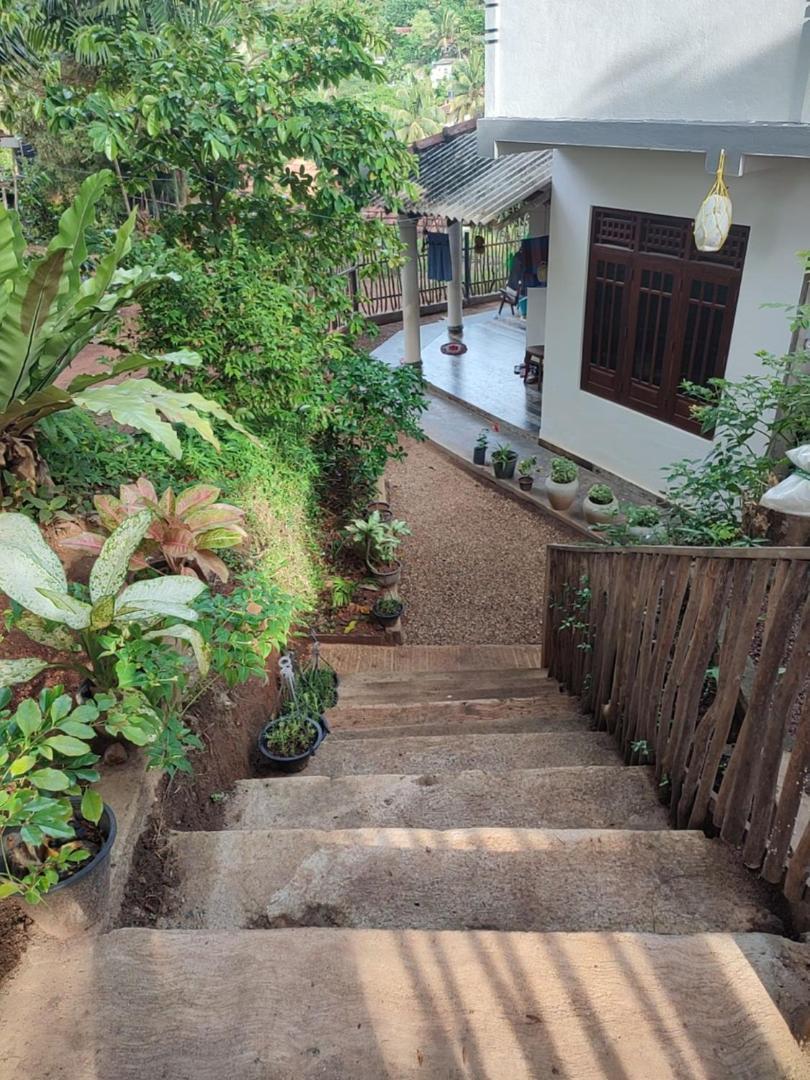 Green Nature Mirissa Exterior photo